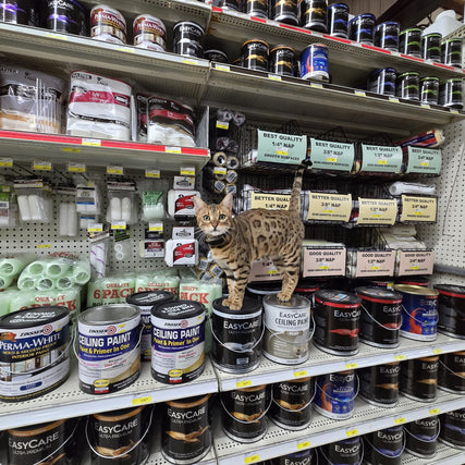 Paint & Supplies