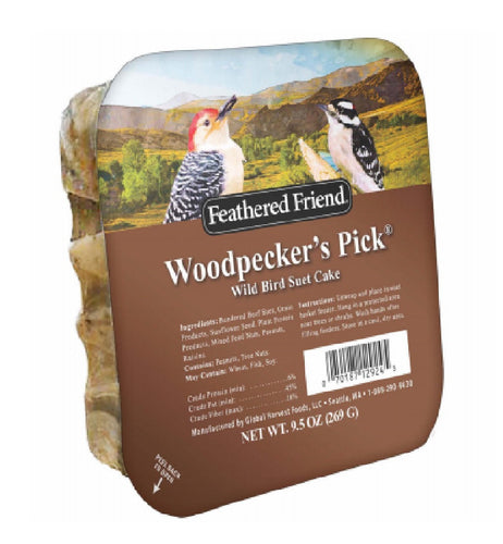 Feathered Friend Woodpecker's Pick®