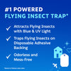 Zevo Flying Insect Trap Fly Trap (Twin Pack)