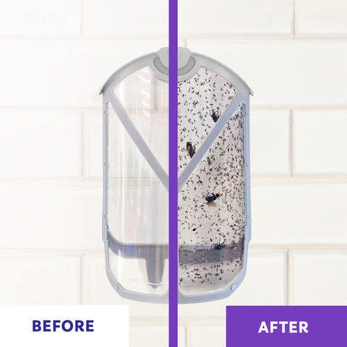 Zevo Flying Insect Trap Fly Trap (Twin Pack)