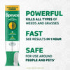 Spruce 10oz EZ-AIM Weed & Grass Killer