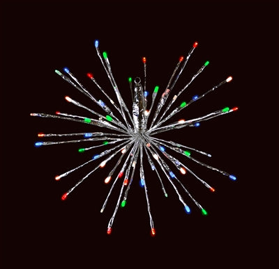 Holiday Bright Lights 16