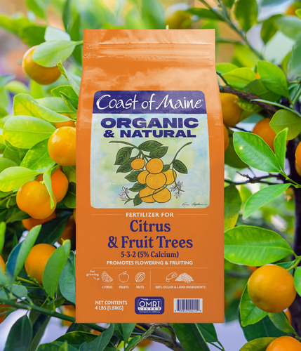 Coast of Maine Organic & Natural Citrus & Fruit Trees Fertilizer