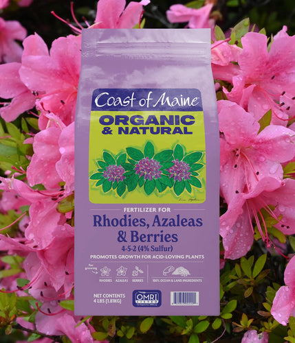 Coast Of Maine Rhodies Azaleas & Berries Fertilizer