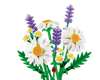 Lego Botanicals Daisies