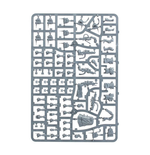 Warhammer Astra Militarum Karskin